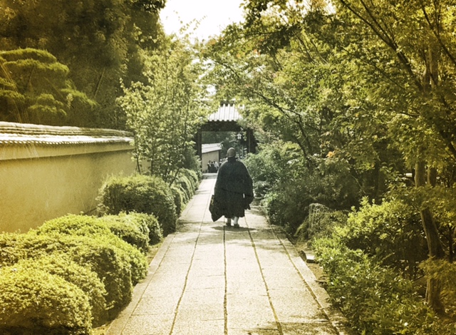 Japan Monk